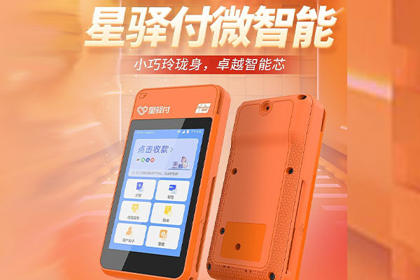 怒江国通微电签POS机